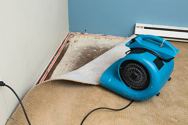 Best Local water damage restoration  in Garden City, SC